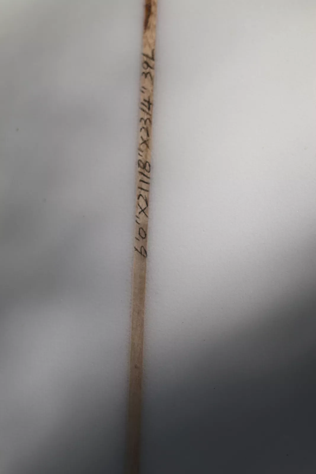 גלשן פיש 6'0 וכיסוי — תמונה 3
