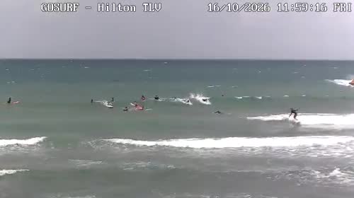 תל אביב - הילטון - 09:01